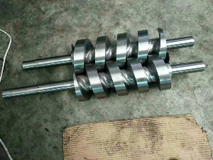 新照片！